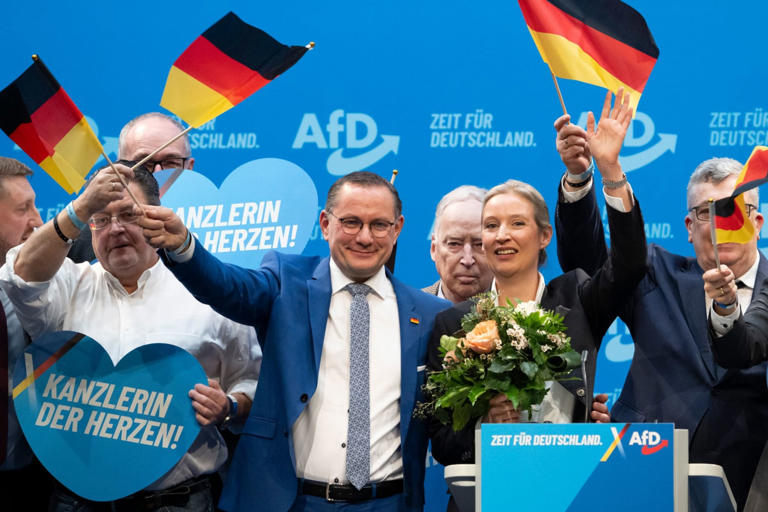 Lire la suite à propos de l’article Les élections législatives anticipées en Allemagne